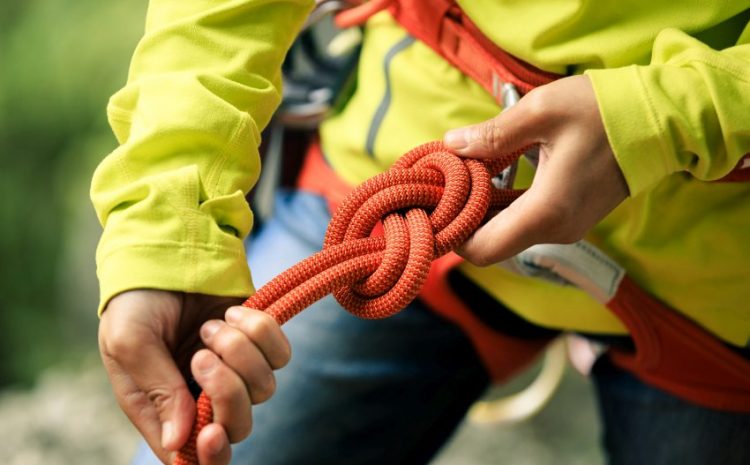 Rope climbing exercise benefits